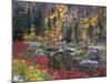 Wenatchee River and Fall Color, Tumwater Canyon, Washington, USA-Jamie & Judy Wild-Mounted Photographic Print