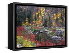 Wenatchee River and Fall Color, Tumwater Canyon, Washington, USA-Jamie & Judy Wild-Framed Stretched Canvas