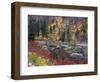 Wenatchee River and Fall Color, Tumwater Canyon, Washington, USA-Jamie & Judy Wild-Framed Photographic Print