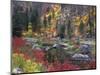 Wenatchee River and Fall Color, Tumwater Canyon, Washington, USA-Jamie & Judy Wild-Mounted Photographic Print