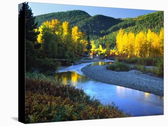 Wenatchee River, Central Cascades, Washington, USA-Janell Davidson-Stretched Canvas