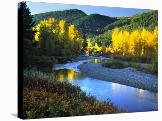 Wenatchee River, Central Cascades, Washington, USA-Janell Davidson-Stretched Canvas