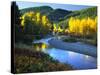 Wenatchee River, Central Cascades, Washington, USA-Janell Davidson-Stretched Canvas