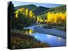 Wenatchee River, Central Cascades, Washington, USA-Janell Davidson-Stretched Canvas