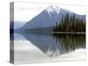 Wenatchee River, Leavenworth Area, Washington State, United States of America, North America-De Mann Jean-Pierre-Stretched Canvas