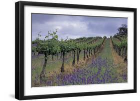 Wendouree Cellars Vineyard-Mick Rock-Framed Premium Giclee Print