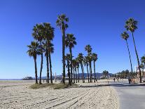 Santa Monica Pier, Pacific Park, Santa Monica, Los Angeles, California, Usa-Wendy Connett-Photographic Print