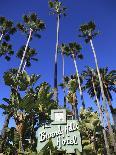 Sign for Beverly Hills Hotel, Beverly Hills, Los Angeles, California, Usa-Wendy Connett-Photographic Print