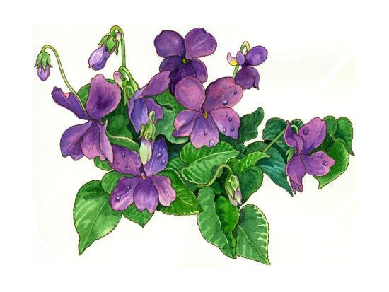 Giclee Print, , large