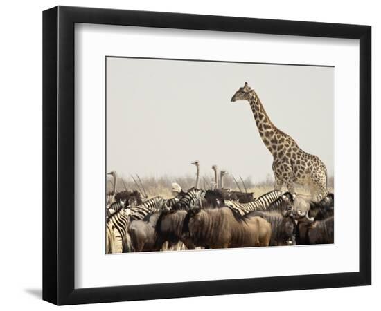 Premium Photographic Print, , large