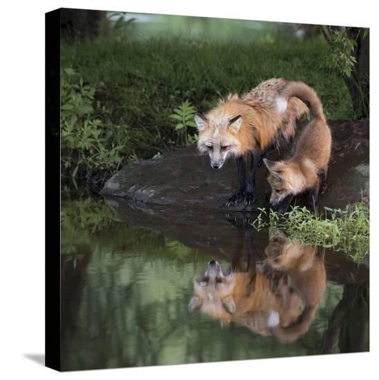Stretched Canvas Print, , large