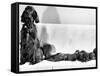 Wendy My Pride a Red Setter with a Litter of Eleven New Born Puppiesy London, December 1968-null-Framed Stretched Canvas