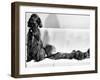 Wendy My Pride a Red Setter with a Litter of Eleven New Born Puppiesy London, December 1968-null-Framed Premium Photographic Print