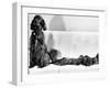 Wendy My Pride a Red Setter with a Litter of Eleven New Born Puppiesy London, December 1968-null-Framed Premium Photographic Print