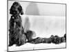 Wendy My Pride a Red Setter with a Litter of Eleven New Born Puppiesy London, December 1968-null-Mounted Photographic Print