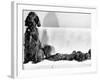 Wendy My Pride a Red Setter with a Litter of Eleven New Born Puppiesy London, December 1968-null-Framed Photographic Print