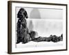 Wendy My Pride a Red Setter with a Litter of Eleven New Born Puppiesy London, December 1968-null-Framed Photographic Print