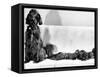 Wendy My Pride a Red Setter with a Litter of Eleven New Born Puppiesy London, December 1968-null-Framed Stretched Canvas