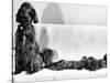 Wendy My Pride a Red Setter with a Litter of Eleven New Born Puppiesy London, December 1968-null-Stretched Canvas