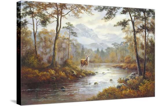 Stretched Canvas Print, , large