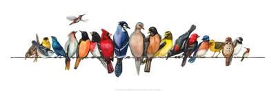 Large Bird Menagerie-Wendy Russell-Stretched Canvas