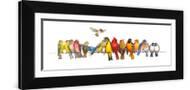 Brown Frame