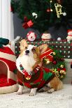 Christmas Themed Pets, Pets in Christmas Clothes, Festive Theme, Close-Up-WENFENG QUAN-Stretched Canvas