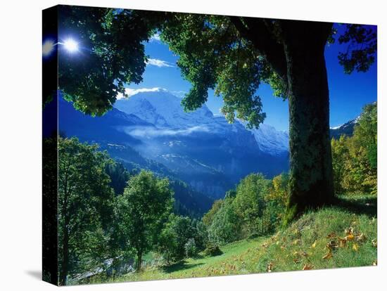 Wengwald, Switzerland-Peter Adams-Stretched Canvas