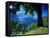 Wengwald, Switzerland-Peter Adams-Framed Stretched Canvas