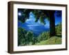 Wengwald, Switzerland-Peter Adams-Framed Premium Photographic Print