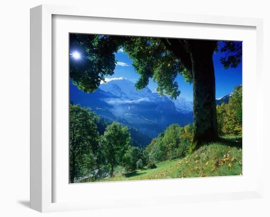 Wengwald, Switzerland-Peter Adams-Framed Premium Photographic Print