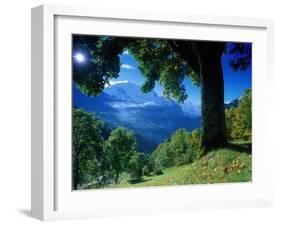 Wengwald, Switzerland-Peter Adams-Framed Premium Photographic Print