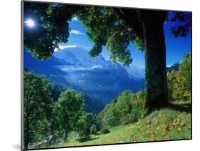 Wengwald, Switzerland-Peter Adams-Mounted Premium Photographic Print