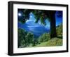 Wengwald, Switzerland-Peter Adams-Framed Photographic Print