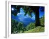 Wengwald, Switzerland-Peter Adams-Framed Photographic Print