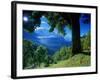 Wengwald, Switzerland-Peter Adams-Framed Photographic Print