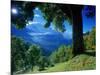 Wengwald, Switzerland-Peter Adams-Mounted Photographic Print