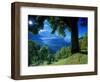 Wengwald, Switzerland-Peter Adams-Framed Photographic Print