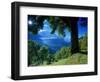 Wengwald, Switzerland-Peter Adams-Framed Photographic Print