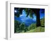 Wengwald, Switzerland-Peter Adams-Framed Photographic Print