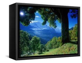 Wengwald, Switzerland-Peter Adams-Framed Stretched Canvas