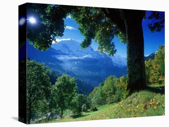 Wengwald, Switzerland-Peter Adams-Stretched Canvas