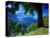 Wengwald, Switzerland-Peter Adams-Stretched Canvas