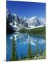 Wenkchemna Peaks and Moraine Lake, Banff NP, Alberta, Canada-Adam Jones-Mounted Photographic Print
