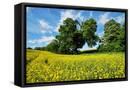 Canvas Black