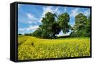 Canvas Black