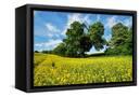 Canvas Black