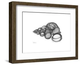 Wentle Trap-Albert Koetsier-Framed Premium Giclee Print