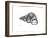 Wentle Trap-Albert Koetsier-Framed Premium Giclee Print