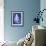 Wentletrap Shell (indigo)-Bert Myers-Framed Art Print displayed on a wall